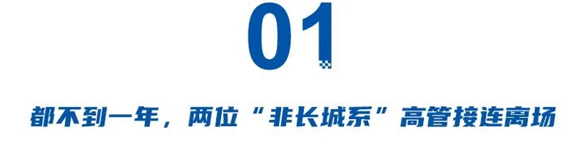 魏牌CEO频繁更迭 战略调整背后的高管博弈