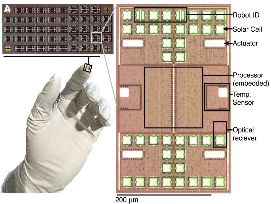 微型机器人技术突破：毫米级自主机器人有望实现体内修复