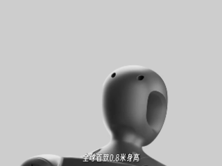 科技网红跨界打造人形机器人新标杆