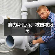 赛力斯胜诉，被告被限高（图1）