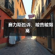 赛力斯胜诉，被告被限高（图4）