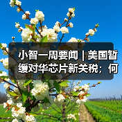 小智一周要闻 | 美国暂缓对华芯片新关税；何小鹏：今年L4会真正到来（图2）