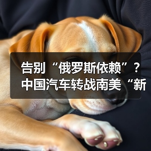 告别“俄罗斯依赖”?中国汽车转战南美“新大陆”(图3) 告别“俄罗斯依赖”?中国汽车转战南美“新大陆”(图3)