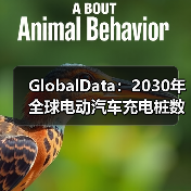 GlobalData：2030年全球电动汽车充电桩数量将达1,100万台（图2）