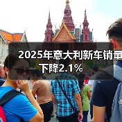 2025年意大利新车销量下降2.1%(图2) 2025年意大利新车销量下降2.1%(图2)