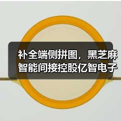 补全端侧拼图,黑芝麻智能间接控股亿智电子(图3) 补全端侧拼图,黑芝麻智能间接控股亿智电子(图3)