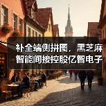 补全端侧拼图,黑芝麻智能间接控股亿智电子(图4) 补全端侧拼图,黑芝麻智能间接控股亿智电子(图4)