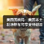 美国国税局:美国本土制造新车可享受特朗普政府税收优惠(图3) 美国国税局:美国本土制造新车可享受特朗普政府税收优惠(图3)