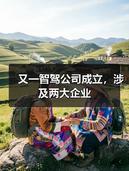 又一智驾公司成立,涉及两大企业(图2) 又一智驾公司成立,涉及两大企业(图2)