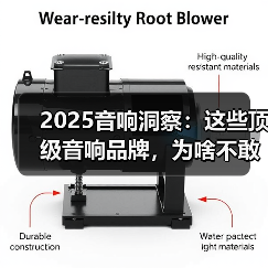 2025音响洞察:这些顶级音响品牌,为啥不敢上新能源的车(图4) 2025音响洞察:这些顶级音响品牌,为啥不敢上新能源的车(图4)