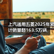 上汽通用五菱2025年累计销量超163.5万辆,新能源年销首超百万(图4) 上汽通用五菱2025年累计销量超163.5万辆,新能源年销首超百万(图4)