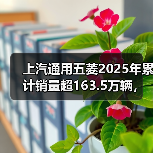 上汽通用五菱2025年累计销量超163.5万辆,新能源年销首超百万(图2) 上汽通用五菱2025年累计销量超163.5万辆,新能源年销首超百万(图2)