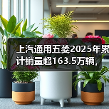 上汽通用五菱2025年累计销量超163.5万辆,新能源年销首超百万(图3) 上汽通用五菱2025年累计销量超163.5万辆,新能源年销首超百万(图3)