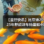 【盖世快讯】比亚迪2025年新能源车销量超460万辆；宝马中国回应最高降价30万元（图4）