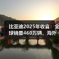 比亚迪2025年收官:全球销量460万辆,海外市场成增长新引擎(图4) 比亚迪2025年收官:全球销量460万辆,海外市场成增长新引擎(图4)
