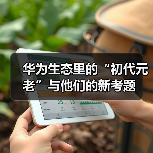 华为生态里的“初代元老”与他们的新考题（图3）