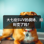 大七座SUV的战场,规则变了吗?(图1) 大七座SUV的战场,规则变了吗?(图1)