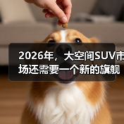 2026年,大空间SUV市场还需要一个新的旗舰吗?(图2) 2026年,大空间SUV市场还需要一个新的旗舰吗?(图2)