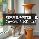 哪吒汽车法国首发：我为什么说这次不一样？（图4）