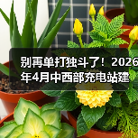 别再单打独斗了!2026年4月中西部充电站建设运营生态大会举行,我看到了拐点(图2) 别再单打独斗了!2026年4月中西部充电站建设运营生态大会举行,我看到了拐点(图2)