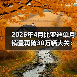 2026年4月比亚迪单月销量再破30万辆大关:这次谁在焦虑?(图4) 2026年4月比亚迪单月销量再破30万辆大关:这次谁在焦虑?(图4)