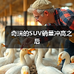 奇瑞的SUV销量冲高之后（图2）