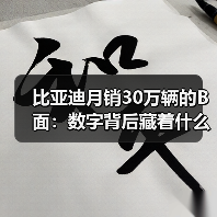 比亚迪月销30万辆的B面：数字背后藏着什么（图3）