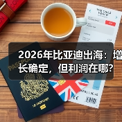 2026年比亚迪出海：增长确定，但利润在哪？（图3）