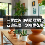 一季度纯电销量冠军比亚迪星愿，到底赢在哪里？（图4）
