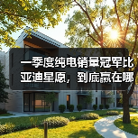 一季度纯电销量冠军比亚迪星愿，到底赢在哪里？（图3）