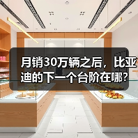 月销30万辆之后，比亚迪的下一个台阶在哪？（图1）