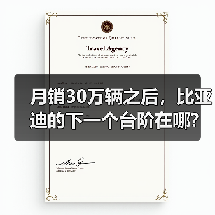 月销30万辆之后，比亚迪的下一个台阶在哪？（图4）