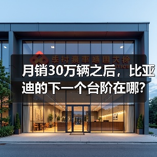 月销30万辆之后，比亚迪的下一个台阶在哪？（图3）