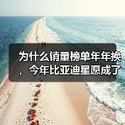 为什么销量榜单年年换，今年比亚迪星愿成了意外？（图3）
