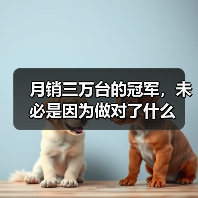 月销三万台的冠军，未必是因为做对了什么（图3）
