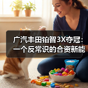 广汽丰田铂智3X夺冠：一个反常识的合资新能源样本（图3）