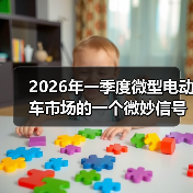 2026年一季度微型电动车市场的一个微妙信号（图4）