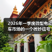 2026年一季度微型电动车市场的一个微妙信号（图3）