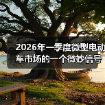2026年一季度微型电动车市场的一个微妙信号（图2）