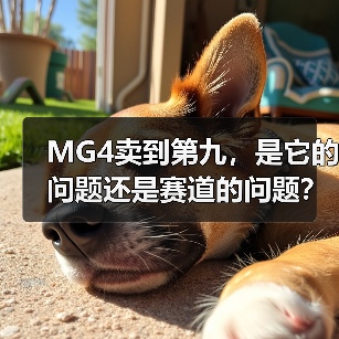 MG4卖到第九，是它的问题还是赛道的问题？（图4）