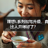 理想L系列智驾升级，真比人开得好了？（图1）