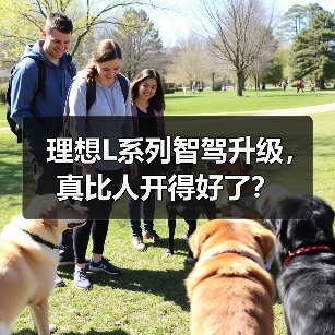 理想L系列智驾升级，真比人开得好了？（图3）