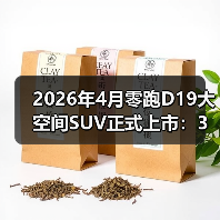 2026年4月零跑D19大空间SUV正式上市：3个让我闭嘴的理由（图3）