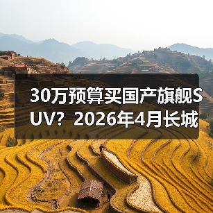 30万预算买国产旗舰SUV？2026年4月长城魏牌V9X开启预售，我等了三年（图4）