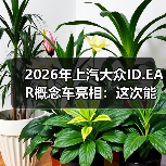 2026年上汽大众ID.EAR概念车亮相：这次能破“量产缩水”的魔咒吗？（图1）