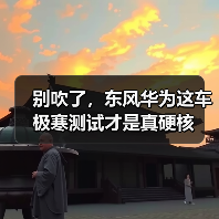 别吹了，东风华为这车极寒测试才是真硬核（图3）