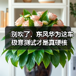 别吹了，东风华为这车极寒测试才是真硬核（图1）