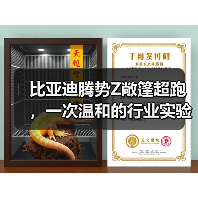 比亚迪腾势Z敞篷超跑，一次温和的行业实验（图2）