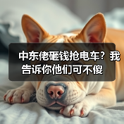 中东佬砸钱抢电车?我告诉你他们可不傻(图3) 中东佬砸钱抢电车?我告诉你他们可不傻(图3)