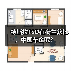 特斯拉FSD在荷兰获批，中国车企呢？